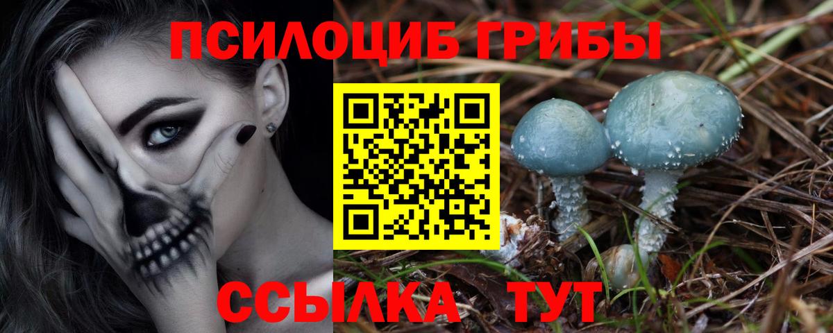 Галлюциногенные грибы ЛСД Курганинск